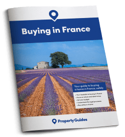 Download France Buying Guide
